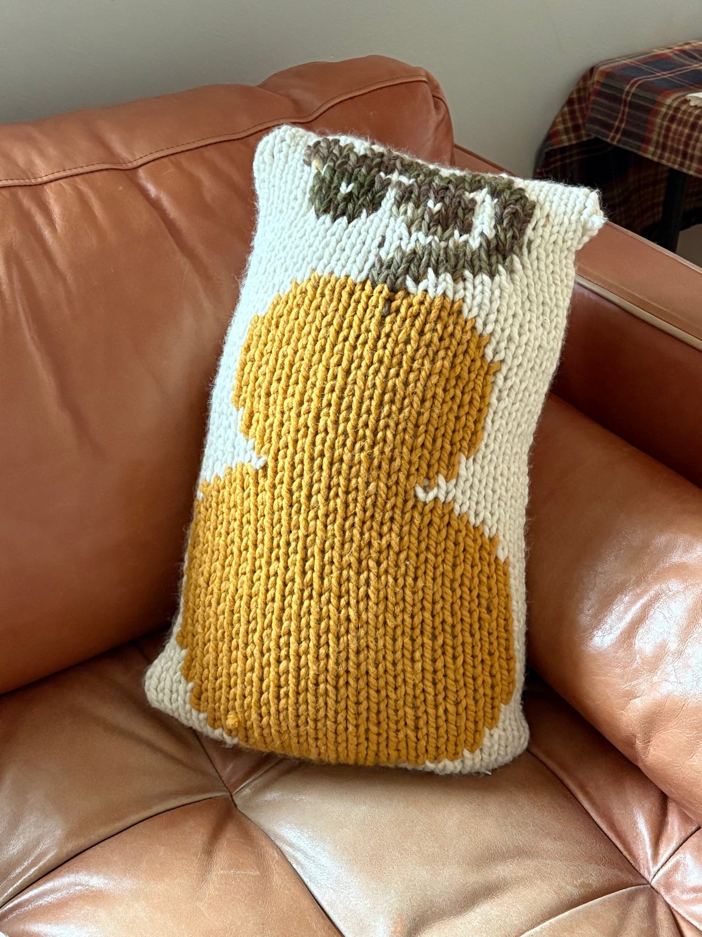 Squash Throw Pillow